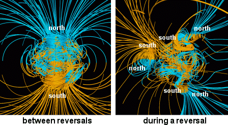 Supercomputer models of Earth's magnetic field. On the left is a normal dipolar magnetic field, typical of the long years between polarity reversals. On the right is the sort of complicated magnetic field Earth has during the upheaval of a reversal. Supercomputer models of Earth's magnetic field. On the left is a normal dipolar magnetic field, typical of the long years between polarity reversals. On the right is the sort of complicated magnetic field Earth has during the upheaval of a reversal.